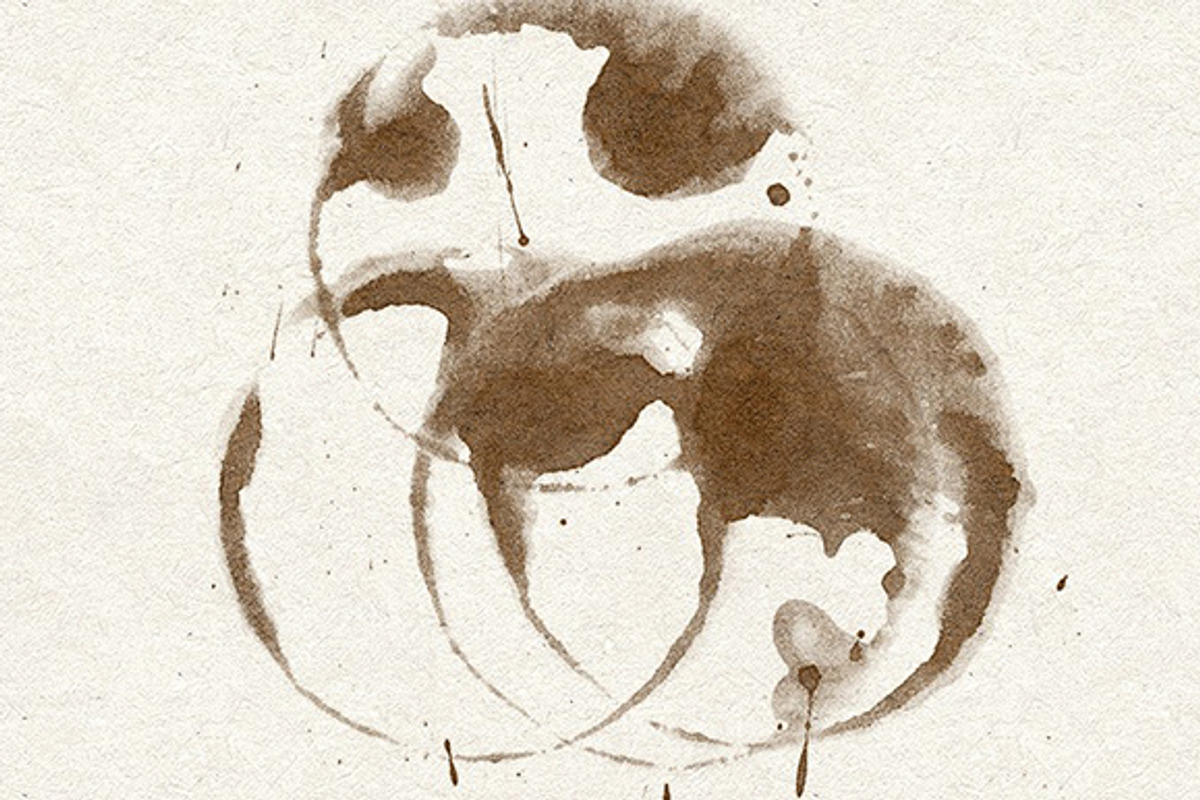 Coffee Stains - 20 Brushes & Vectors preview 3
