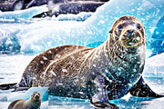 15 Effects Collection – Premium, an Action Add-On by Studio Retouch (Thumbnail 21 of 46)