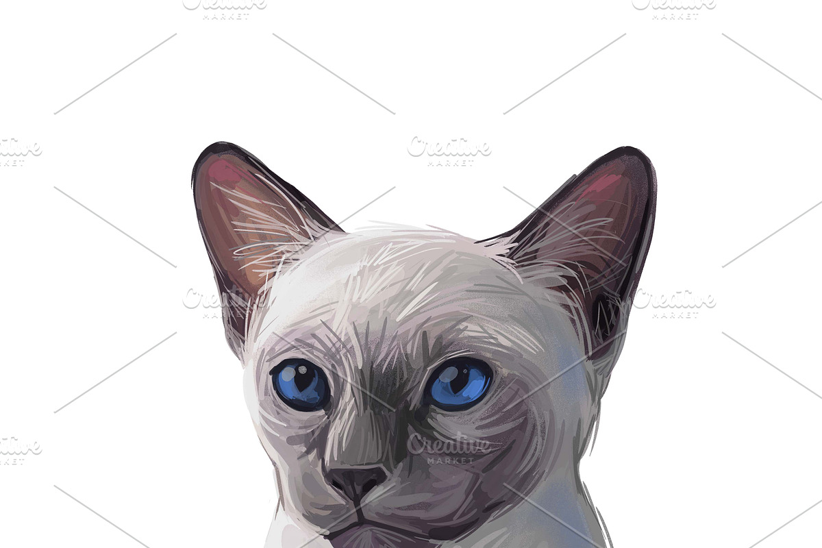 Cats and Kittens, 160 png breeds, an Animal Illustration by Dneprstock (Photo 10 of 11)