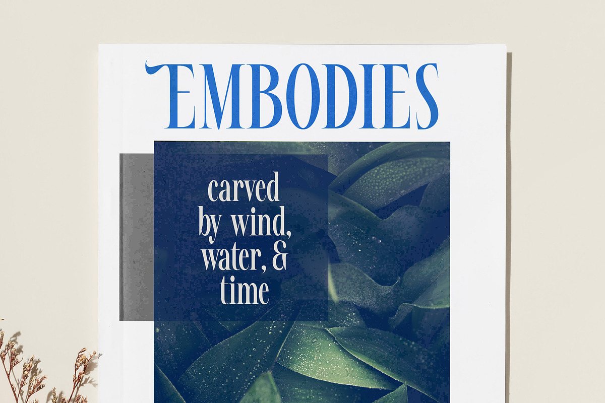 Awesome Shorten Tall Serif Display, a Serif Font by timelesstype.co (Photo 15 of 20)