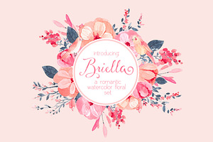 Briella - watercolor set