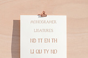 Monogramer. Hand-Drawn Serif Font, a Serif Font by LABFcreations (Thumbnail 11 of 13)