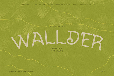 Wallder | Display Typeface
