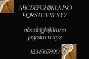 Shoreline - Elegant & Classic Duo, a Serif Font by Misha Sova (Thumbnail 14 of 15)