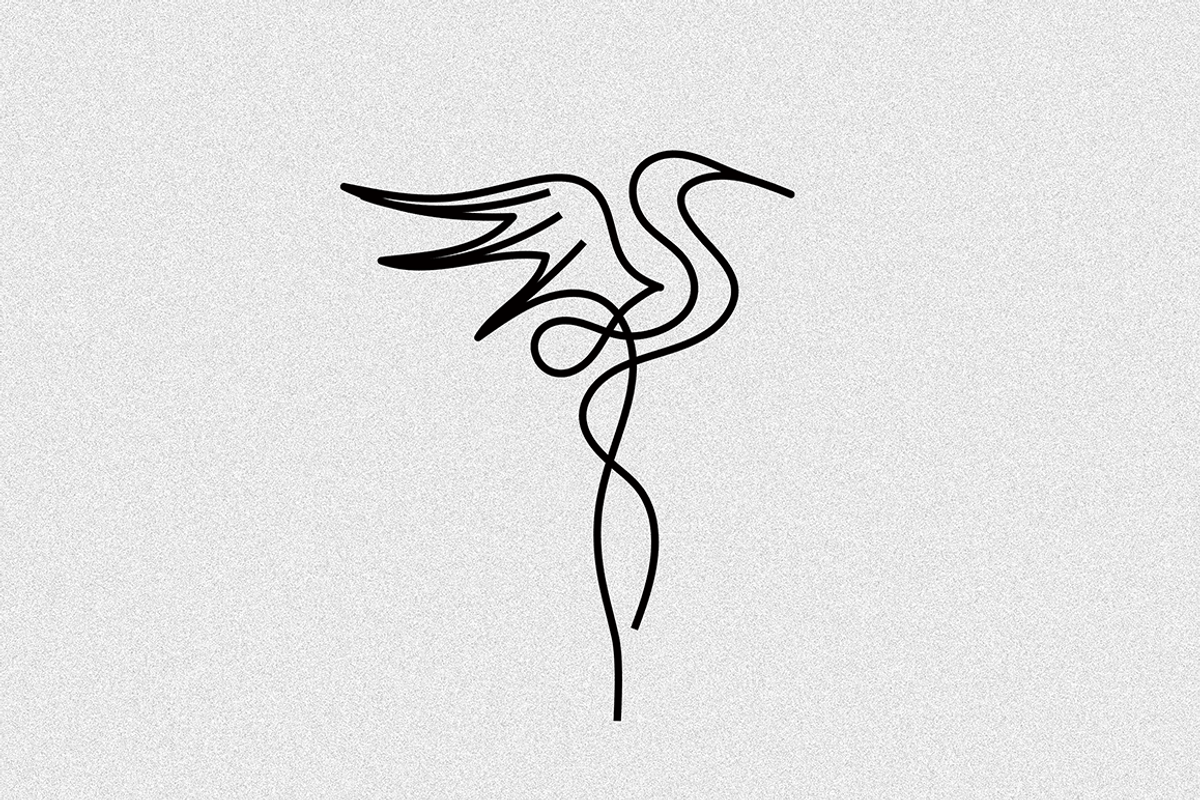 Bird Logo, a Branding & Logo Template by Vova (Photo 2 of 3)