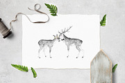 WOODLAND LOVE watercolor set, an Animal Illustration by Natali Smolova (Thumbnail 5 of 10)