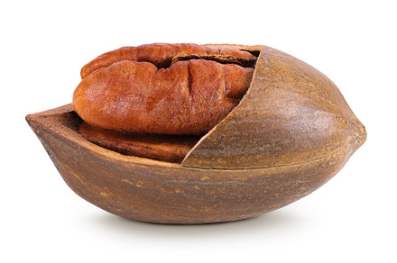 broken pecan nut isolated on white, a Food & Drink Photo by NataPhoto