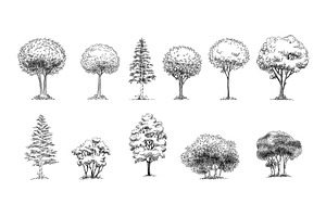 Set Of Hand Drawn Architect Trees