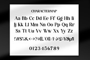 Gastie || Modern Serif Font, a Serif Font by Idea Studio (Thumbnail 10 of 10)
