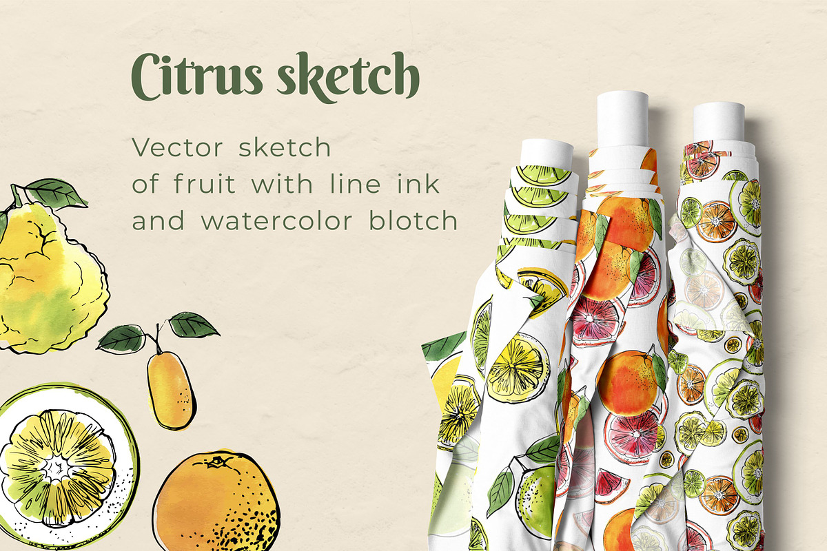 Citrus sketch. Oranges and lemons, a Food Illustration by irina.vaneeva (Photo 10 of 11)