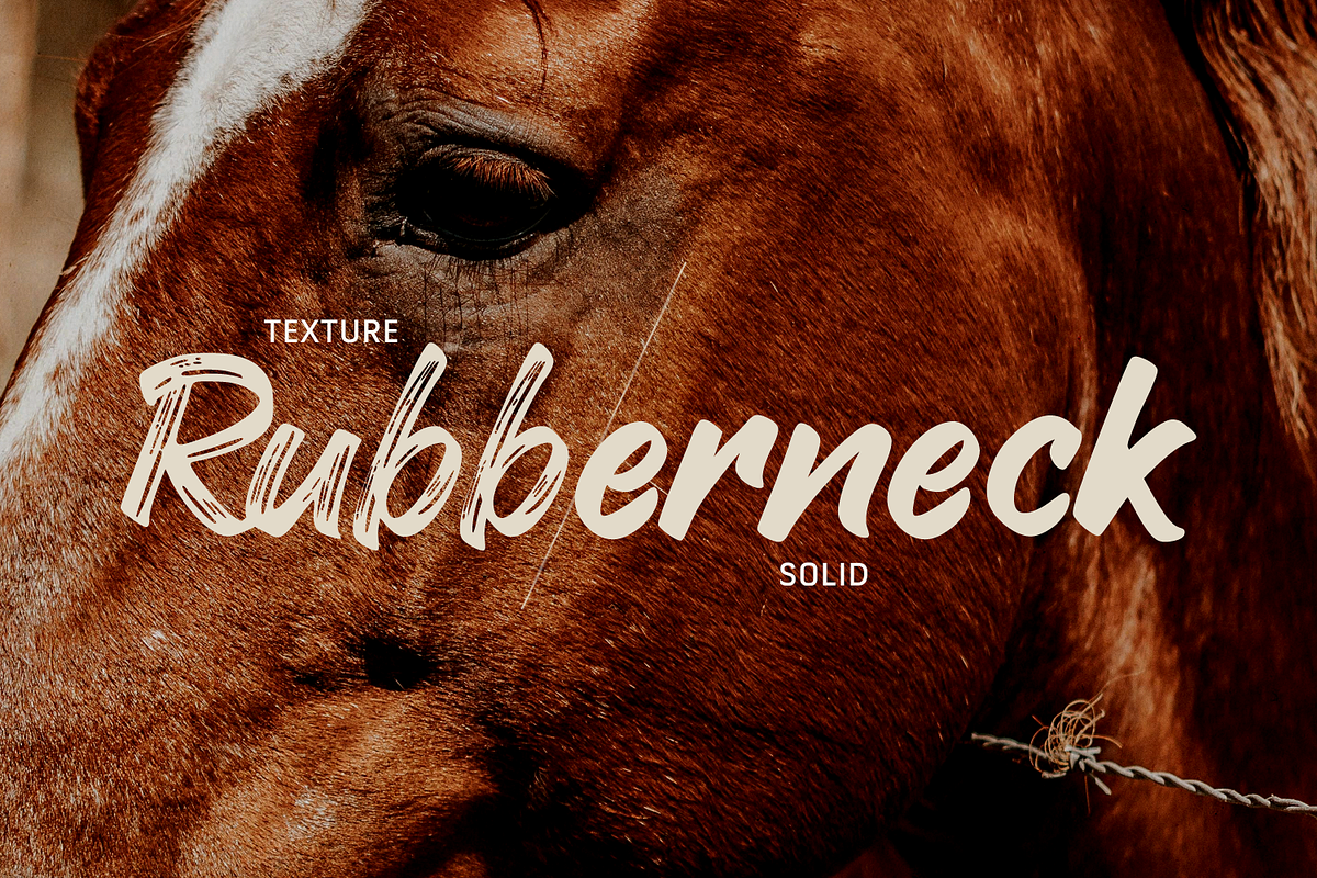 Blindspot, a Script Font by NUGS (Photo 4 of 6)