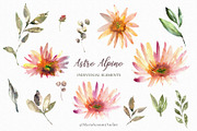 Astro Alpino - Watercolor Flowers, a Decorative Illustration by MariaScaroniAtelier (Thumbnail 5 of 7)