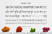 Qalodie - Elegant Modern Aesthetic, a Serif Font by roomspace creative lab (Thumbnail 13 of 13)