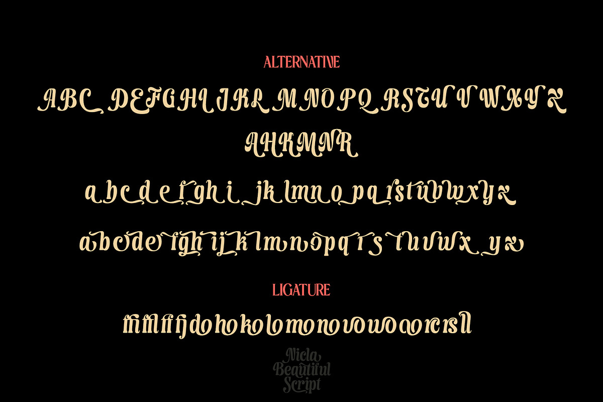 Nicla - Beautiful Script Family, a Script Font by madeDeduk (Photo 8 of 15)
