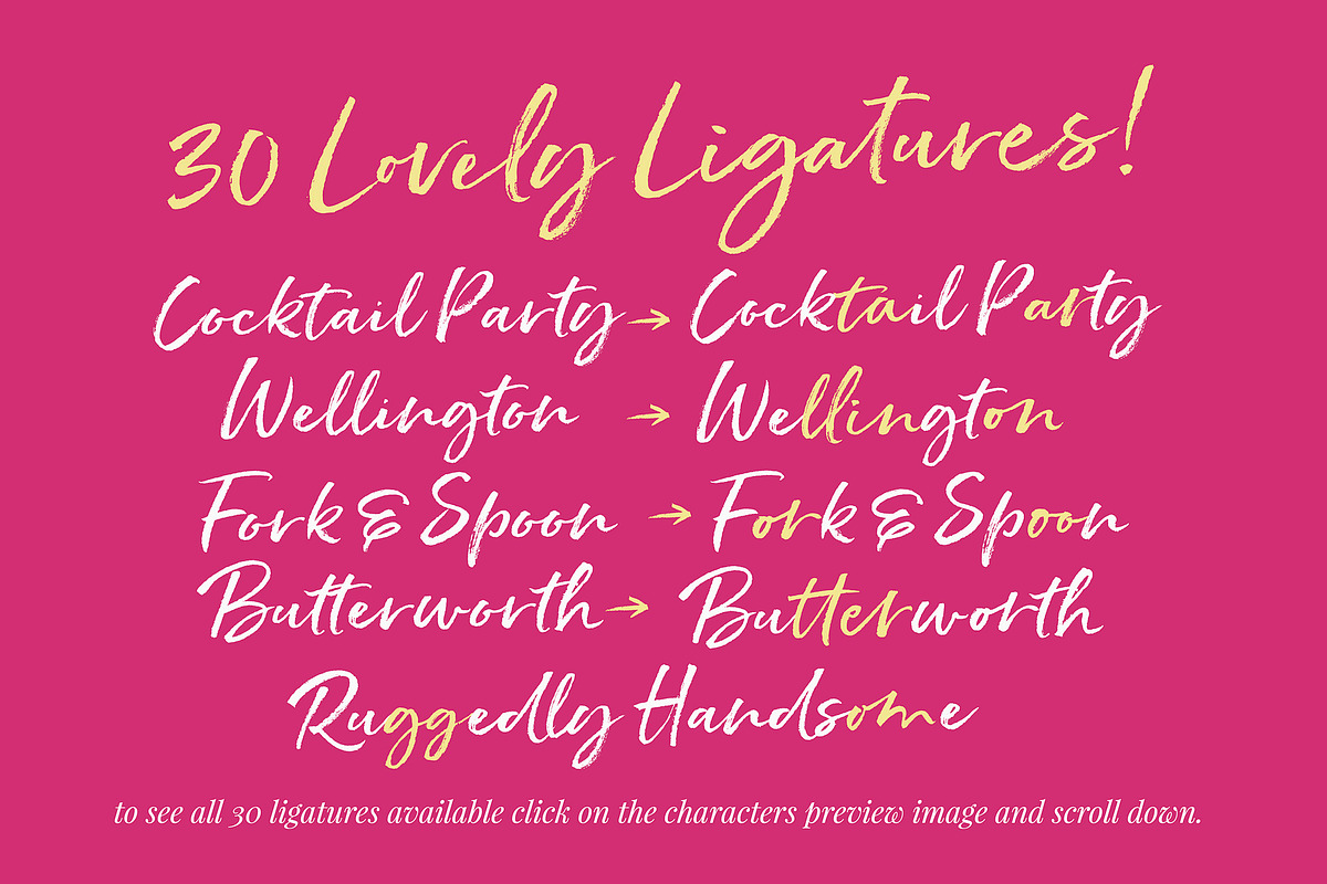 Hello Pretty! Casual Brush Font, a Script Font by Nicky Laatz (Photo 10 of 15)