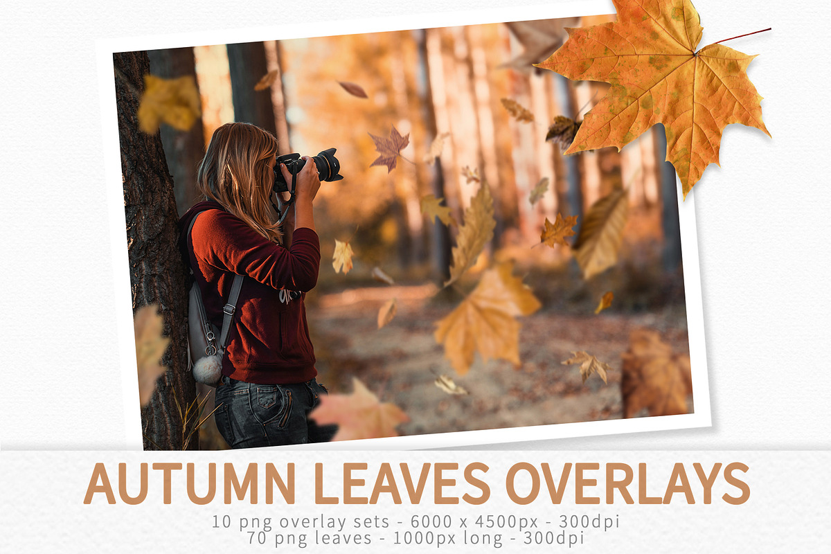 Autumn Leaves Overlays