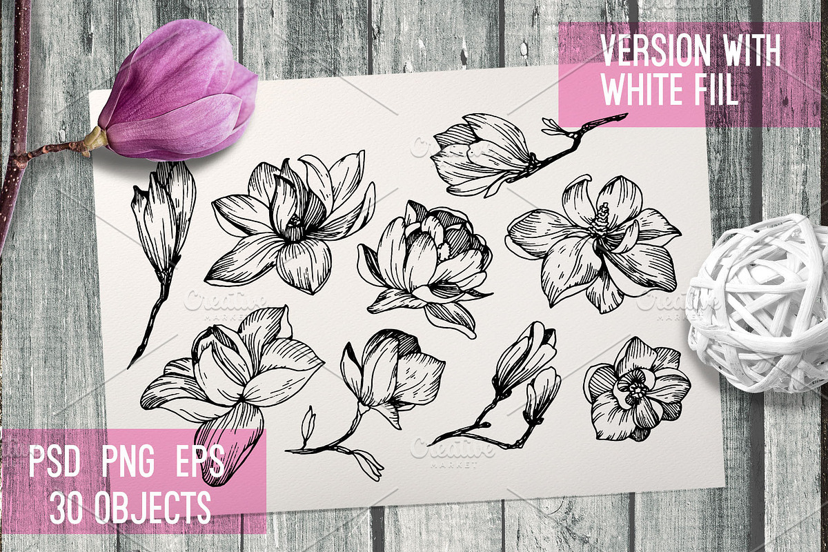 Flowers. Magnolia in vintage style, a Decorative Illustration by Alena Kaz (Photo 2 of 5)