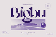 10+ MODERN FONT BUNDLE SALE, a Serif Font by delipensil (Thumbnail 18 of 27)