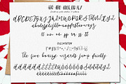 HoHoHolidayFonts collection&patterns, a Script Font by CallMeStasia (Thumbnail 11 of 16)