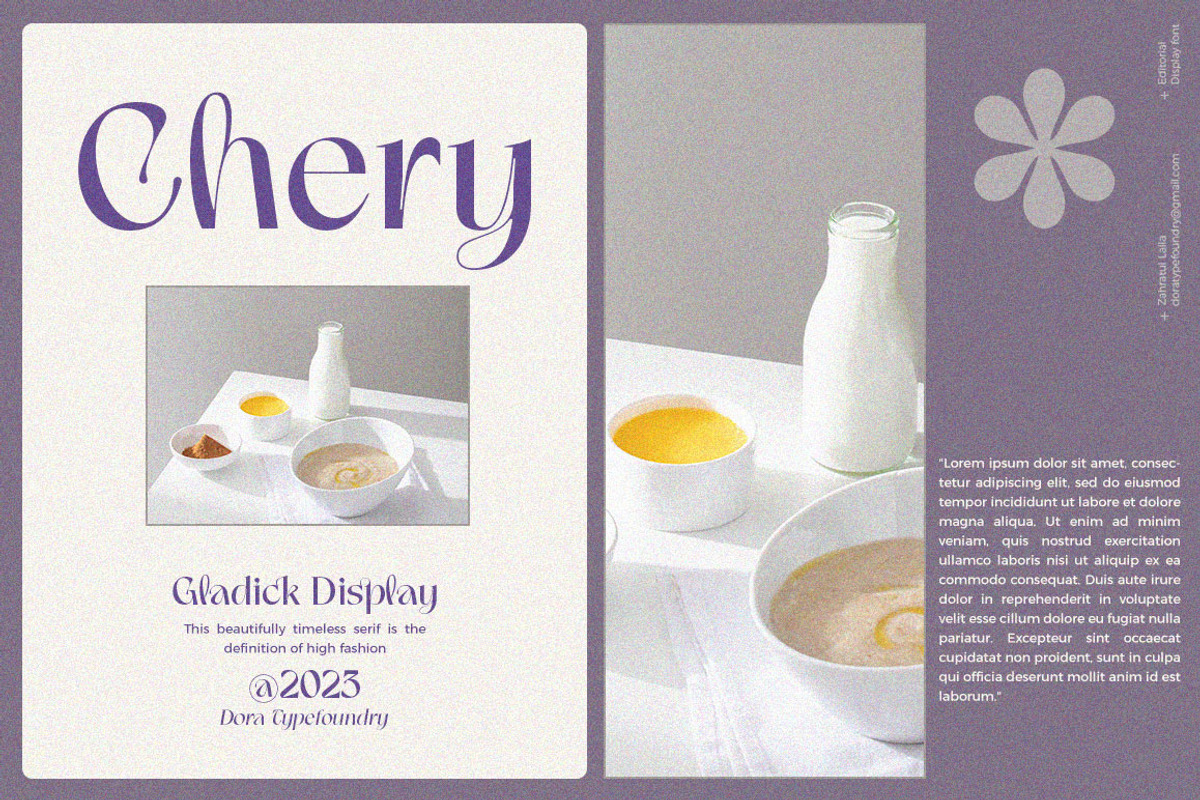 Gladick - Modern Typeface, a Serif Font by Dora Typefoundry (Photo 4 of 28)