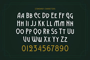 Vallely | Vintage Font, a Serif Font by Twicolabs Fontdation (Thumbnail 8 of 9)
