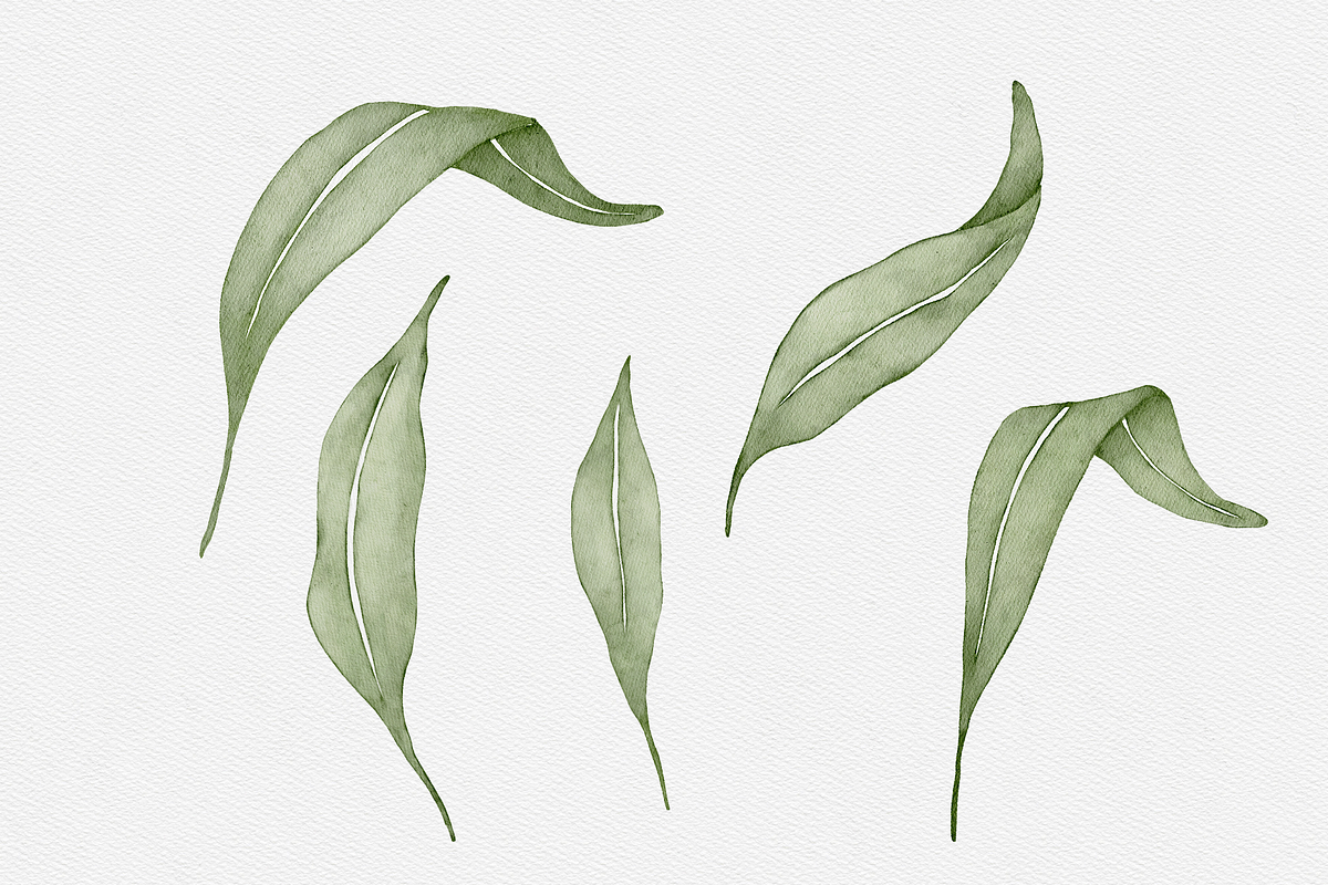 Watercolor Olive Branches Leaves, an Illustration by Creatchees.std (Photo 7 of 13)
