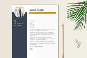 Resume Template Navy Gold