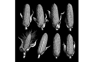 Sweet Corn Ear Maize Linocut Print, a Food Illustration by LadadikArt