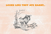 52 Safari Vector Illustrations, an Animal Illustration by TheBlackPixelCo (Thumbnail 4 of 5)