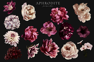 Aphrodite Floral Clip Art Collection