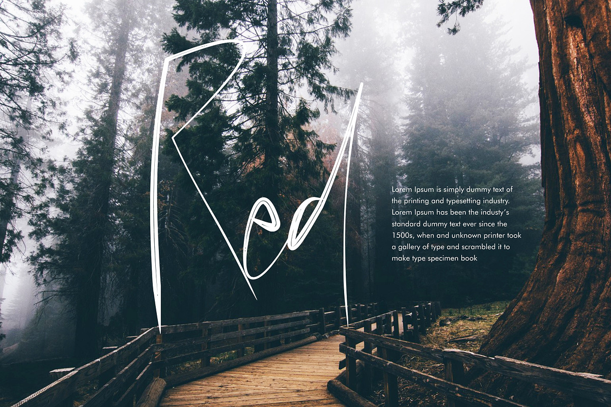 Papies Script Font preview 6