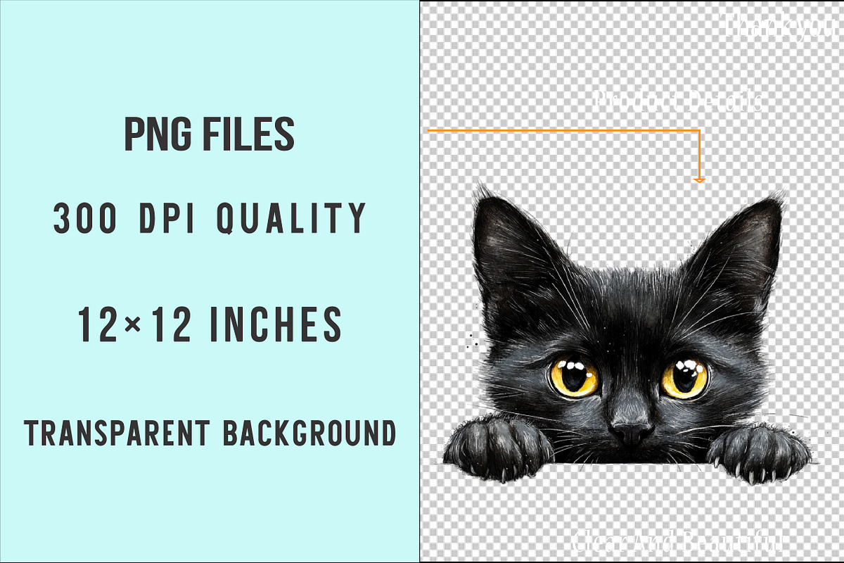 Black Cat Peeking PNG, an Illustration by SinaCreation (Photo 4 of 5)