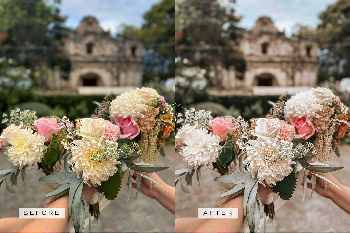 Influencer LR Preset + Video Filter, a Preset Add-On by TheWayfarerShoppe (Photo 10 of 18)