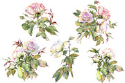 Romantic Watercolor Rose Clipart, a Decorative Illustration by Jeanna Draw (Thumbnail 4 of 17)