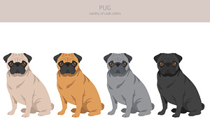 Pug Clipart