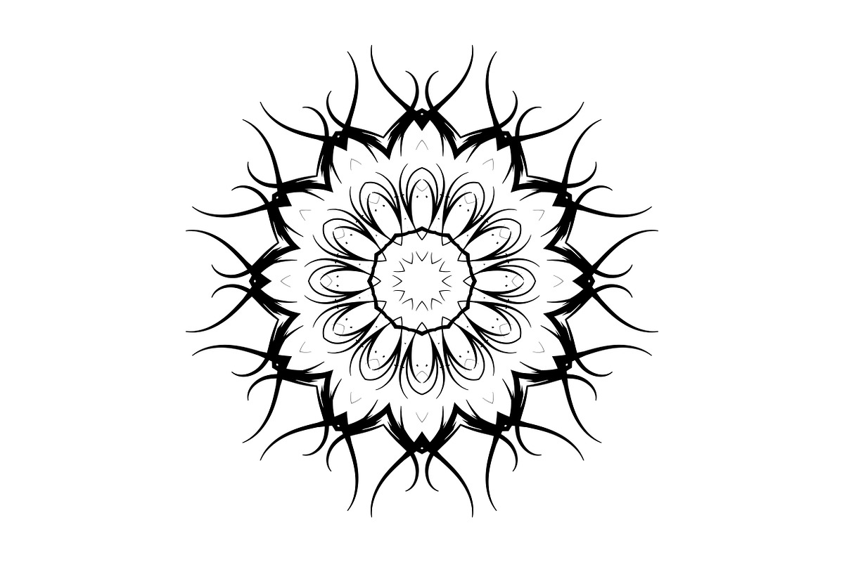 Black White Mandala Illustration Set, a Decorative Illustration by NJ Himel (Photo 23 of 101)
