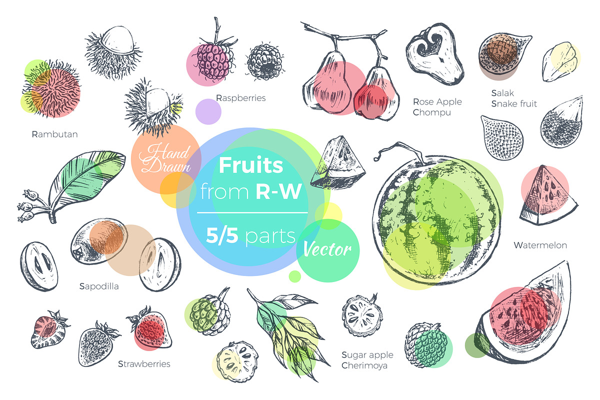 Fruits - hand drawn vector set, a Food Illustration by Margo Miller (Photo 12 of 25)