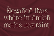 Lathenia Elegant Modern Serif Font, a Serif Font by Rasio Studio (Thumbnail 5 of 8)