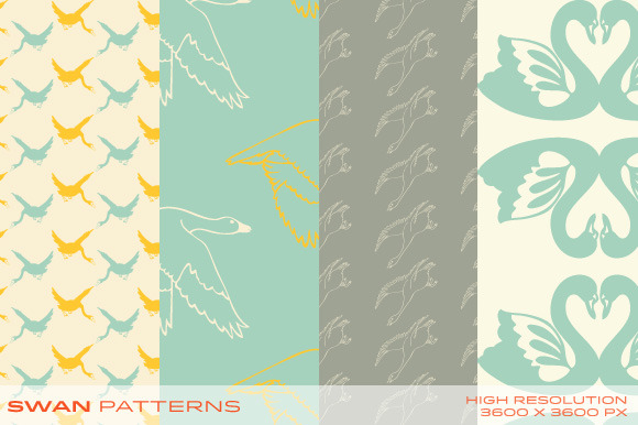 Swan Patterns