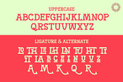 Merriland - Retro Carnival, a Slab Serif Font by Setara Langit CreativeStd (Thumbnail 10 of 10)