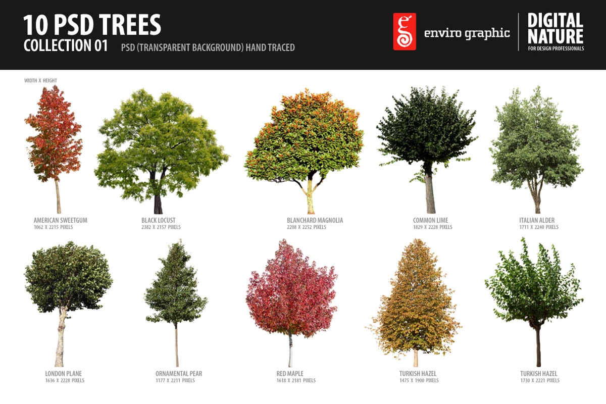 10 PSD Trees Collection 1