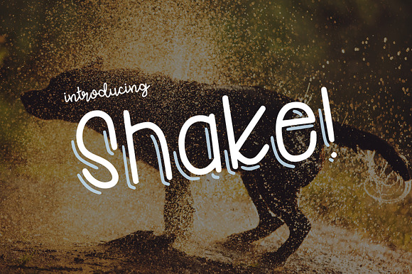 Shake preview 2