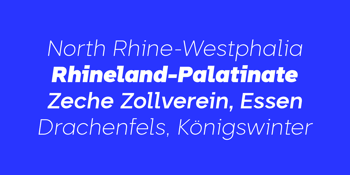 Biotic, a Sans Serif Font by TypeUnion (Photo 15 of 15)