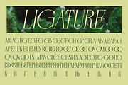 Gremont Arquela - Luxury Display, a Serif Font by Qweera Studio (Thumbnail 11 of 12)