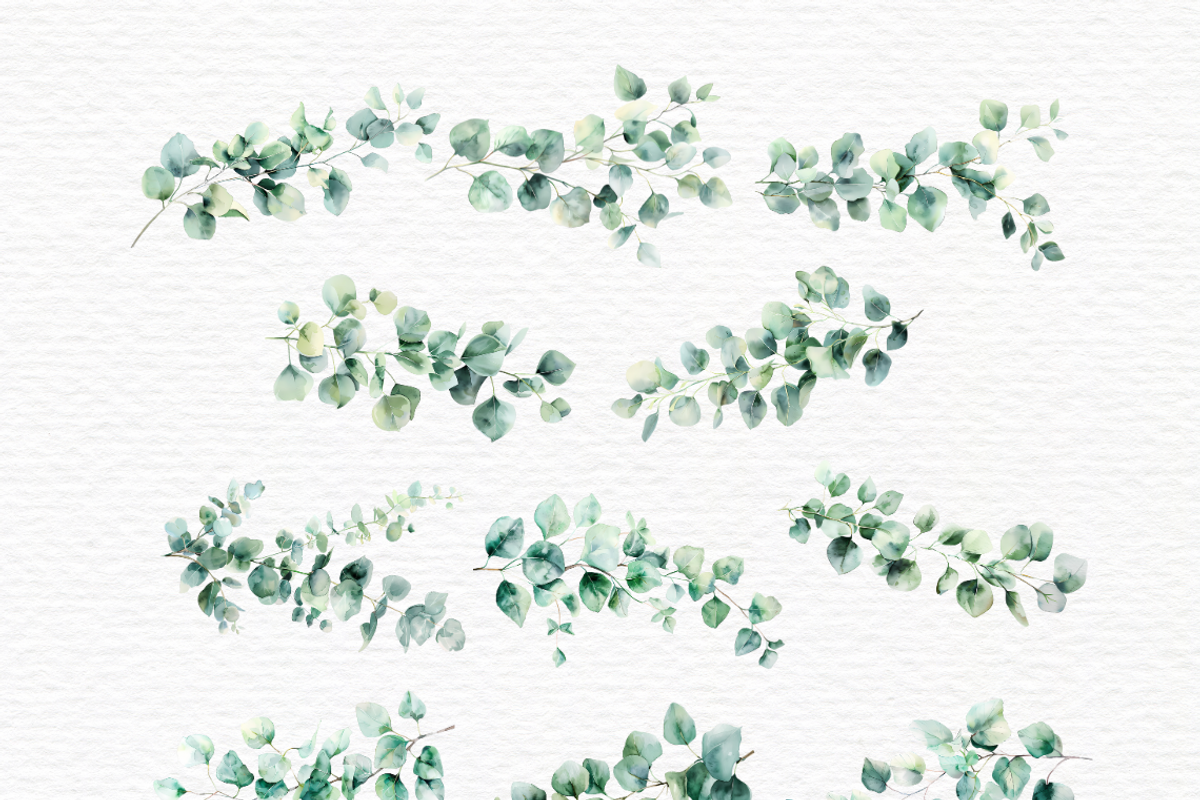 Ivy vines clipart, Greenery, a Decorative Illustration by Invite to Clipart (Photo 4 of 5)