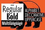 Spektora, a Sans Serif Font by Adam Fathony (Thumbnail 2 of 16)