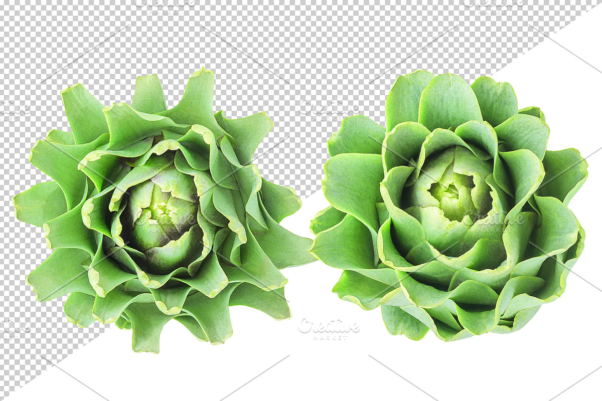 Raw artichokes, an Object Graphic by Fruits+Veggies (Photo 3 of 4)