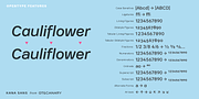 Kana Sans, a Sans Serif Font by GT&CANARY (Thumbnail 5 of 6)