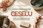Ceselu - A Refined Luxury Serif, a Serif Font by Astuti Studio (Thumbnail 4 of 24)