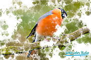 SALE! 21 In 1 Creative PS Actions, an Action Add-On by Jacpot007 (Thumbnail 49 of 55)